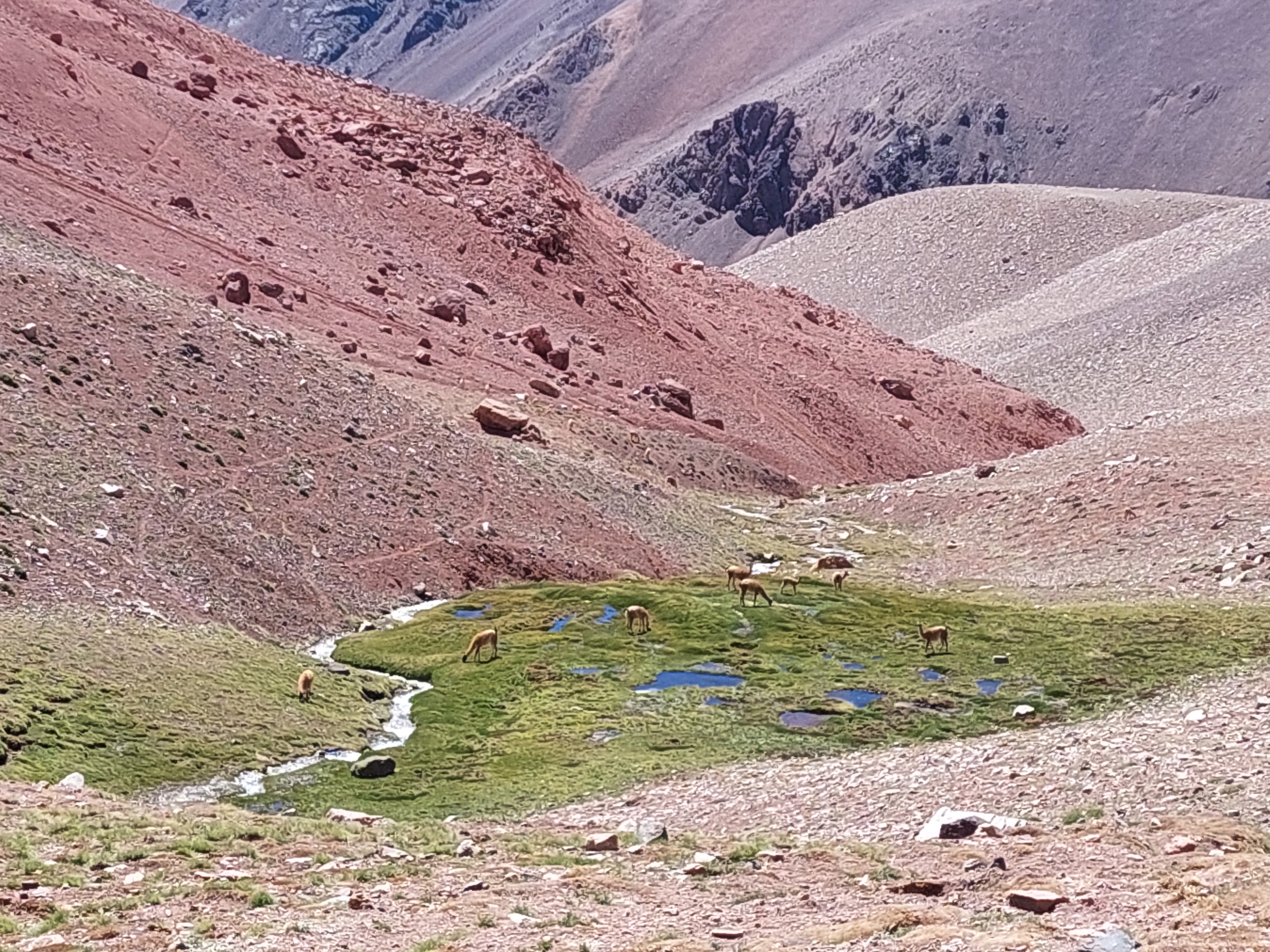 Catamarca